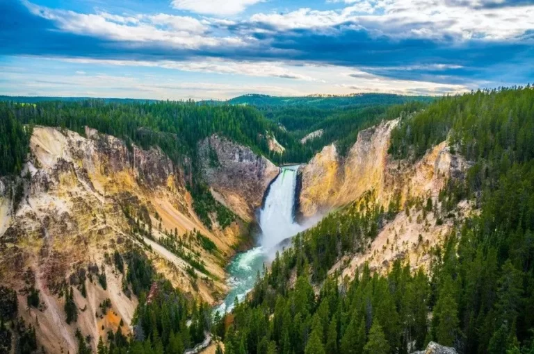 Lower Falls of Yellowstone National Park on a Guided tour with Cody Shuttle