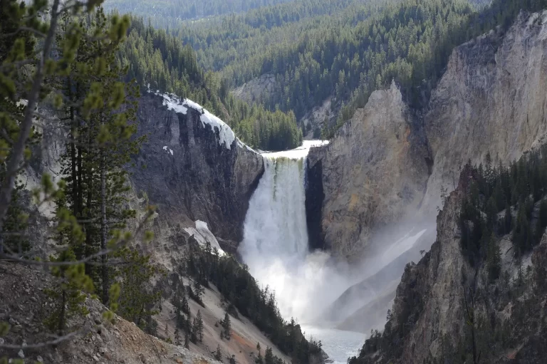 Yellowstone Falls