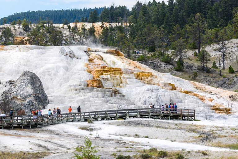 People on a guided tour of Yellowstone